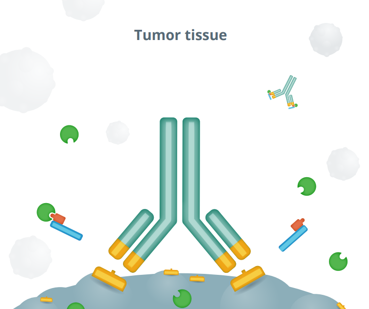 Diseased Tissue